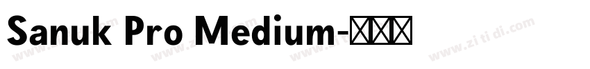Sanuk Pro Medium字体转换